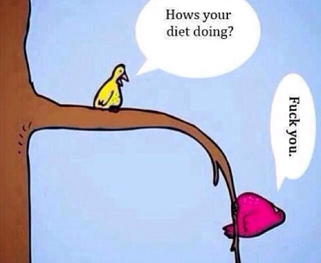 #diet #birds #habal