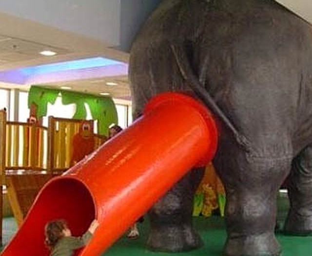 #elephant #children #playground #fail #HabaLdotCom
#هبل_دوت_كوم