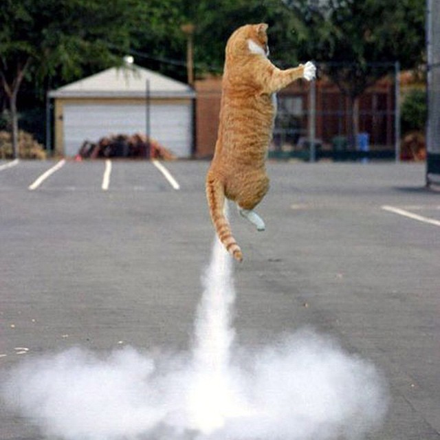#liftoff #cat #fart #habal #هبل
#HabaLdotCom
#هبل_دوت_كوم