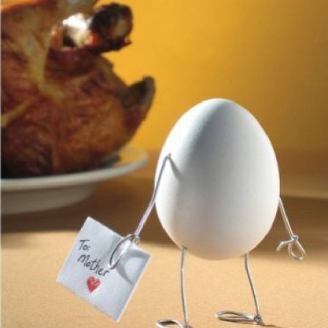 #heartbroken #mother #chicken #egg #habal #هبل
#HabaLdotCom
#هبل_دوت_كوم