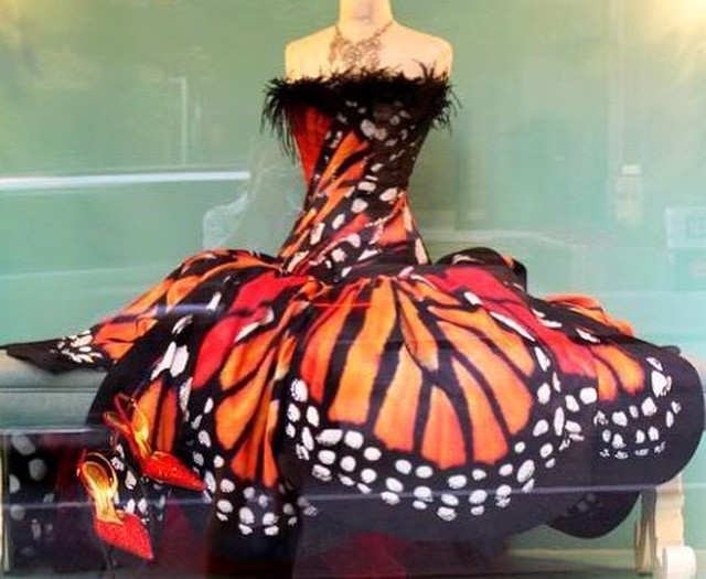 #butterfly #dress #fashion #habal #هبل
#HabaLdotCom
#هبل_دوت_كوم