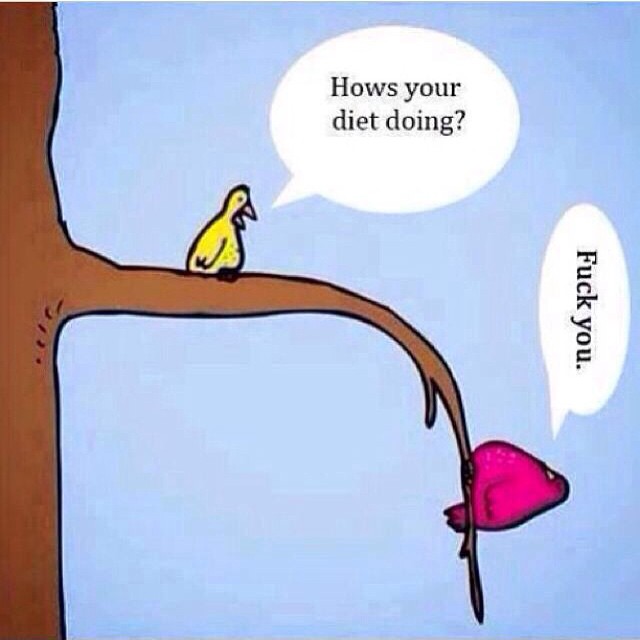 How is your #diet #habal #هبل
#HabaLdotCom
#هبل_دوت_كوم