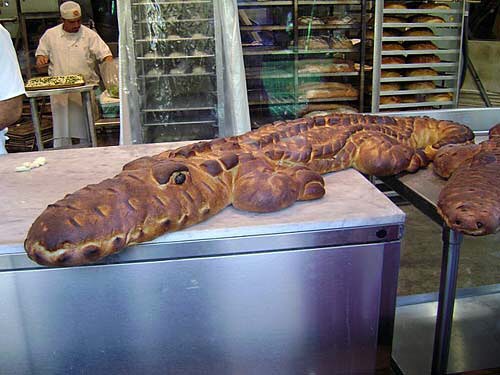 #bread #croc #bakery #gator #habal #هبل #HabaLdotCom #هبل_دوت_كوم
