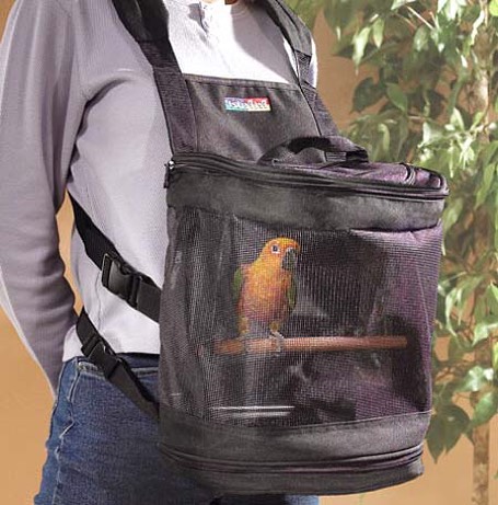 #takeyourpetalong #bird #backpack #carryon #pet #habal #هبل #HabaLdotCom #هبل_دوت_كوم