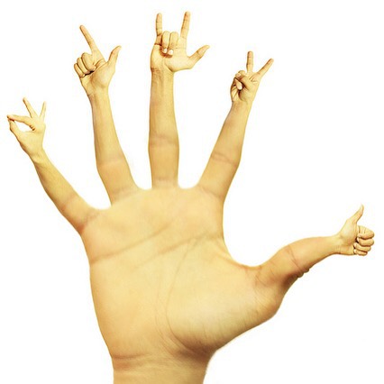 #crazy #hands #everywhere #habal #هبل #habaldotcom