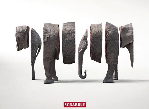 #elephant #scrabble #ad #fail #habal #هبل #habaldotcom