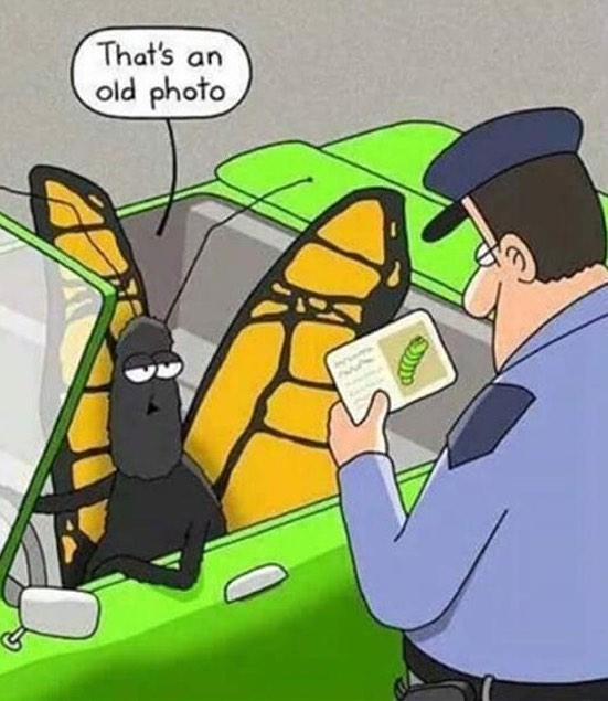 #old #photo #police #butterfly #caterpillar #habal #هبل #habaldotcom